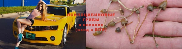 стаф Бугульма